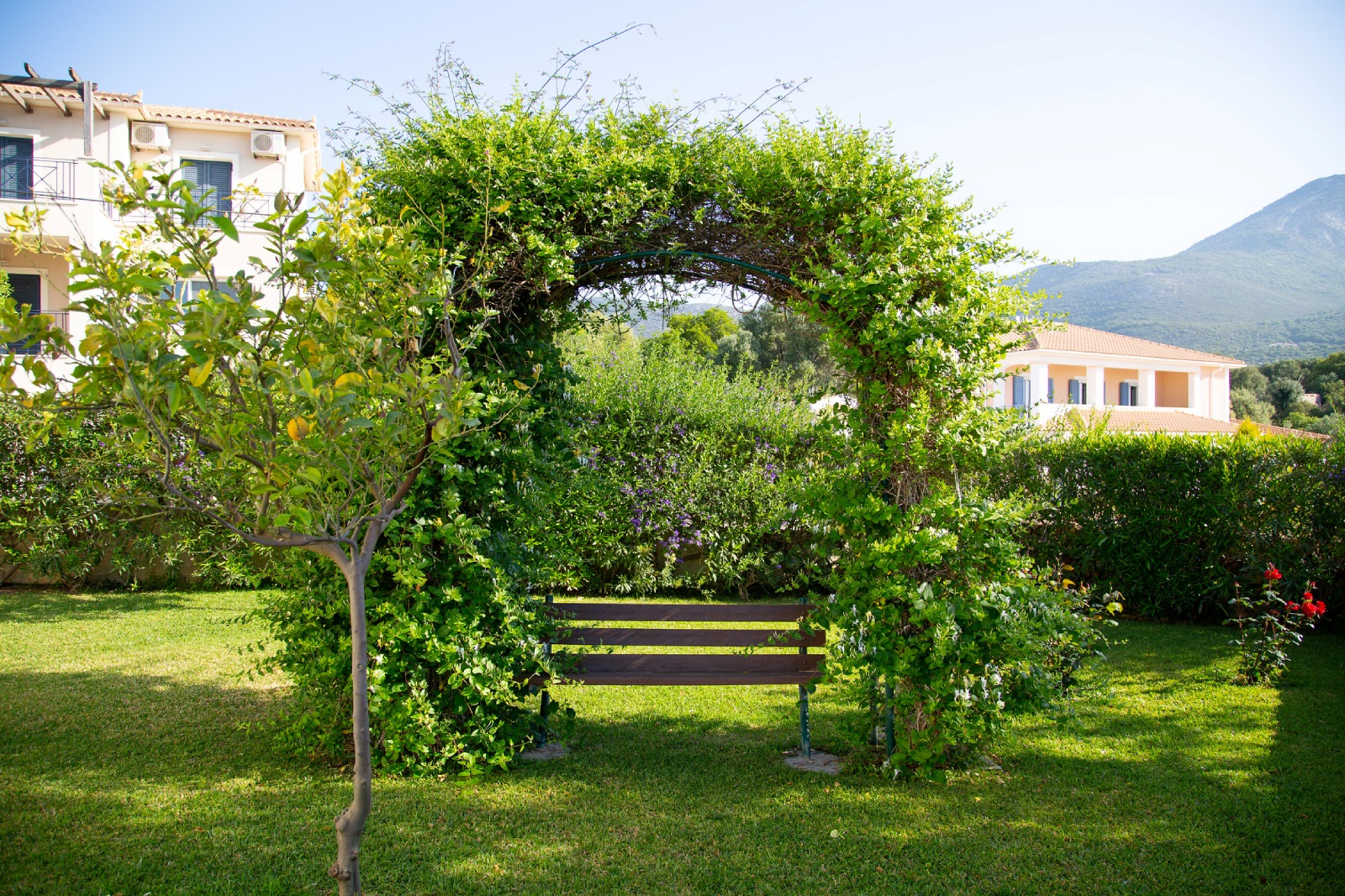 Rear garden kefalonia by hampshirewebsolutions Villa Loukia-kefalonia-by-hampshirewebsolutions