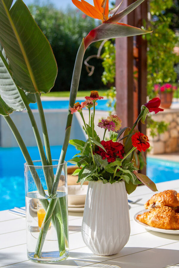 villa-loukia-homepage-slide4 breakfast, villa loukia, kefalonia, greece