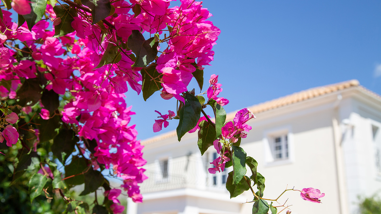 Outside at Villa Loukia, Kefalonia, Greece